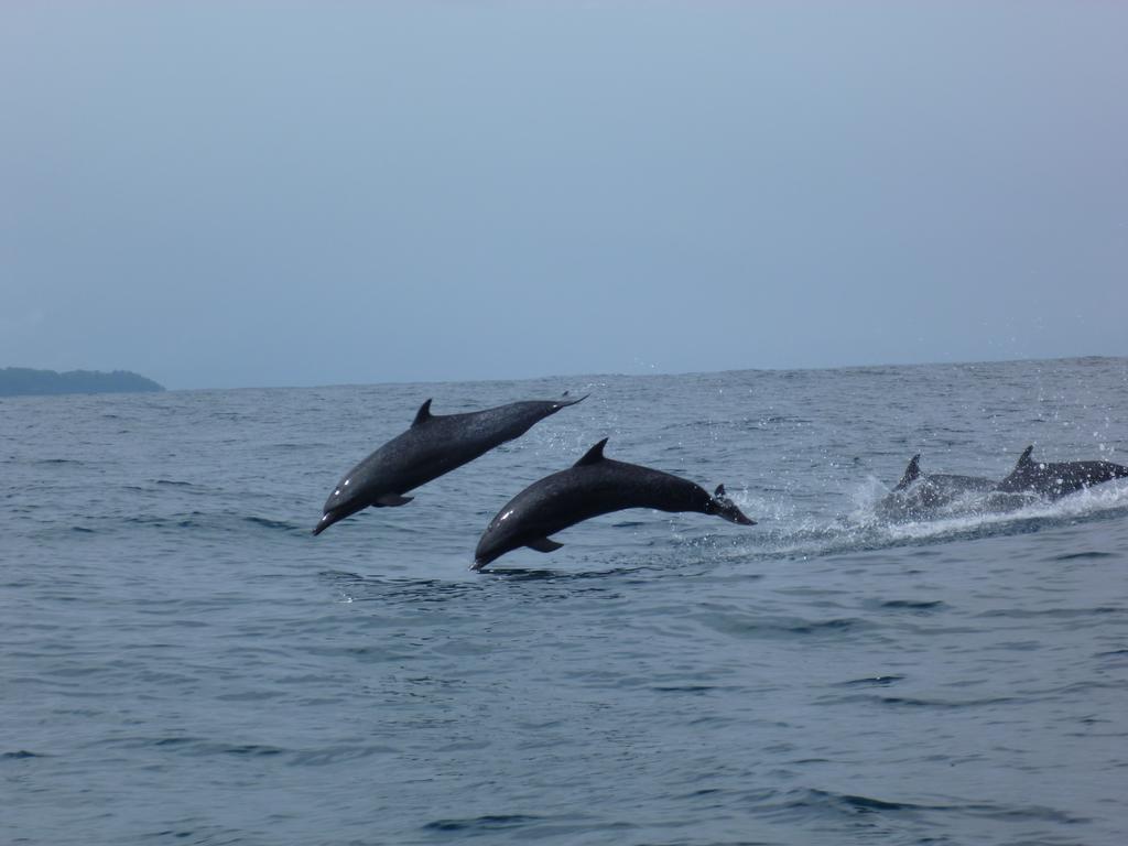 Mirians Place Drake Drakes Bay المظهر الخارجي الصورة
